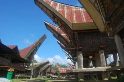 Sulawesi