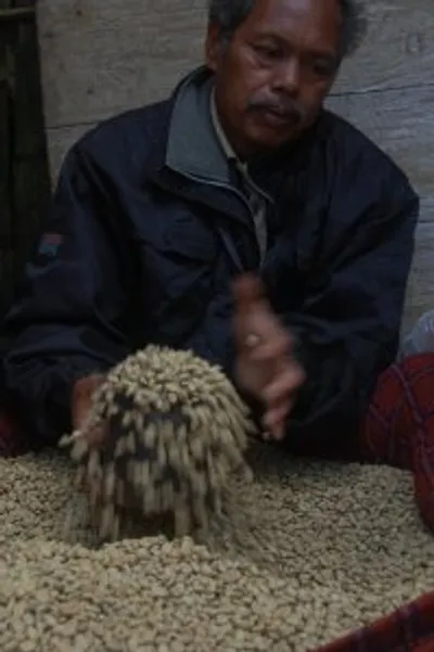 Sulawesi