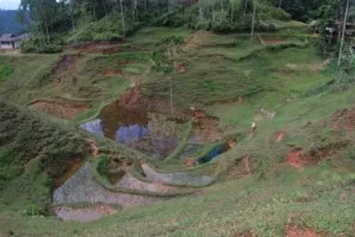 Sulawesi