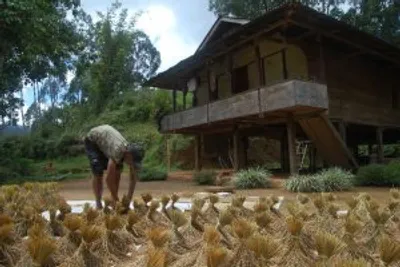 Sulawesi