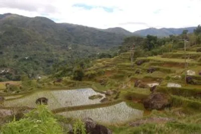 Sulawesi