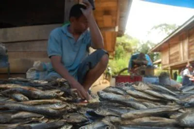 Sulawesi