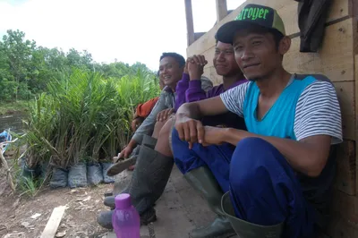 Borneo
