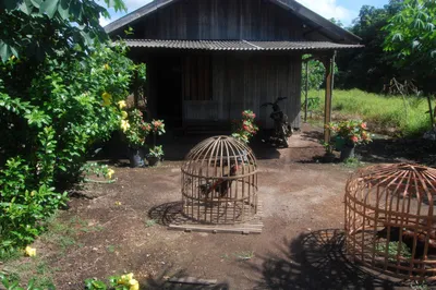 Borneo