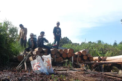 Borneo