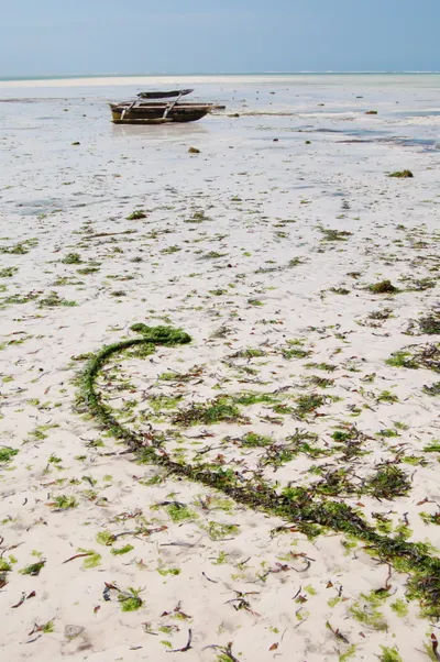 Zanzibar