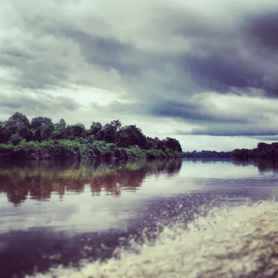 Borneo