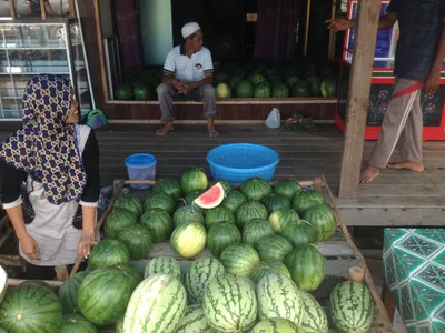 Borneo