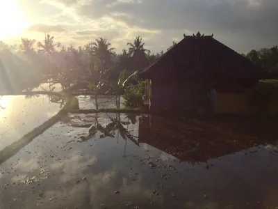 Bali