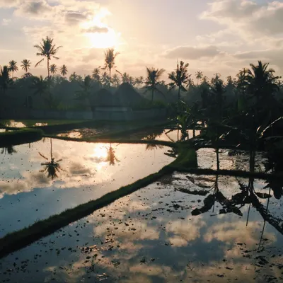 Bali