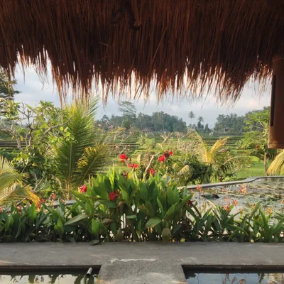 Bali
