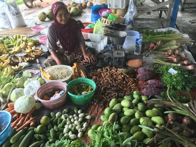 Borneo