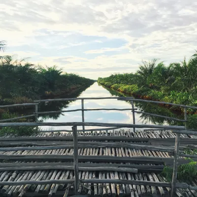 Borneo