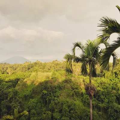 Bali