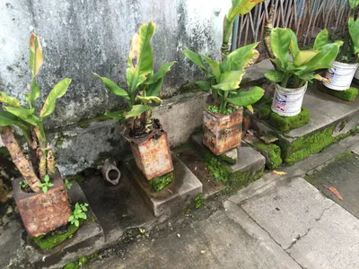 Myanmar
